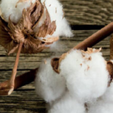 Sewing thread cotton and silk uni