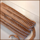 Ruche - geplooid Ripsband beige 16mm 