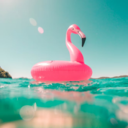 Zomervakantie