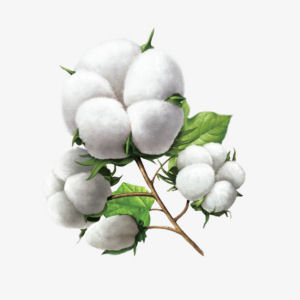 Katoenen volumevlies / fiberfill / batting